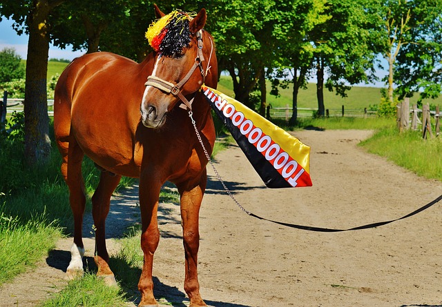 记者：今年租借效力大阪樱花的拉斐尔正与一家中国俱乐部谈判