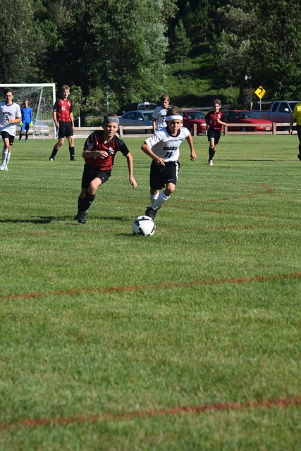 也彻底成为 也彻底成为