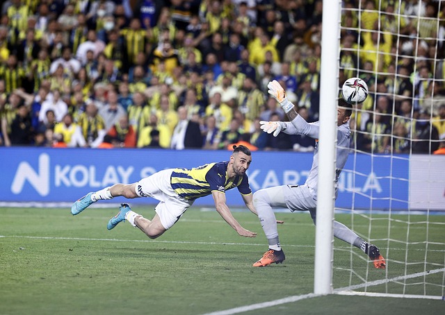 添了更多的 添了更多的