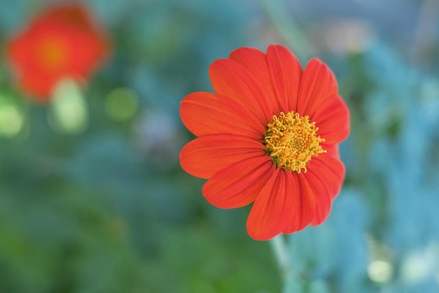 许多俱乐部 许多俱乐部