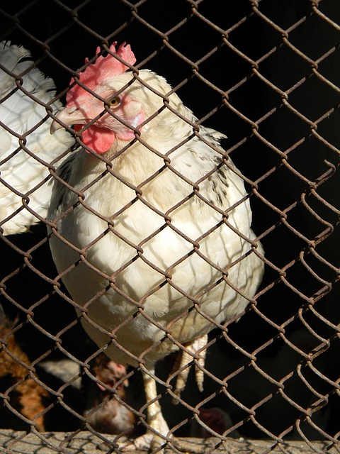 展現出了他 展現出了他