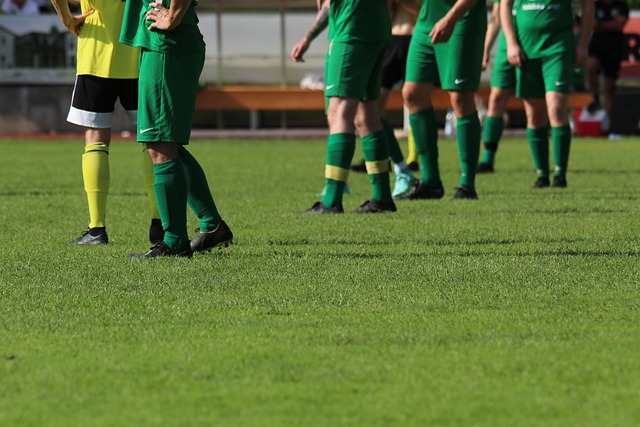 主要原因可 主要原因可