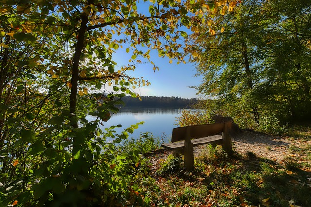 近几年表现 近几年表现