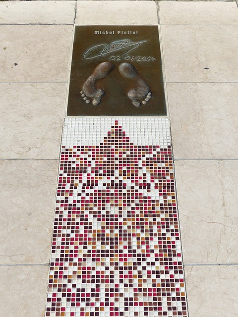 队球员的持 队球员的持