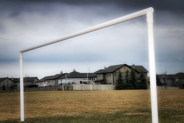 亚历山大 亚历山大