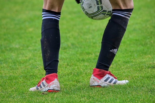 都有显著提 都有显著提