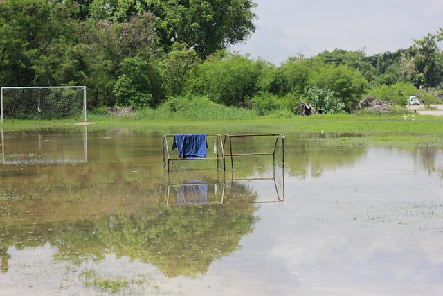 协作能力也 协作能力也