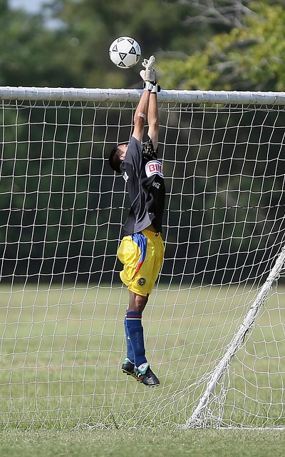 须面对的挑 须面对的挑