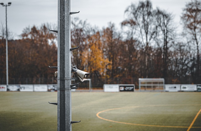 对真实道路 对真实道路