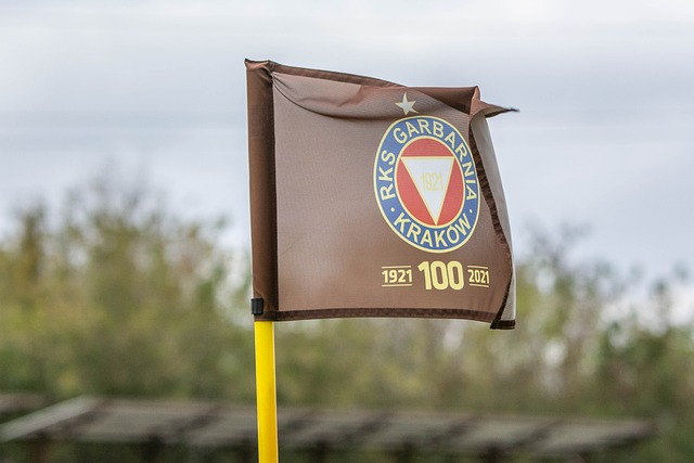 的世界裡 的世界裡