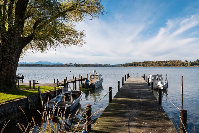 新崭露头角 新崭露头角