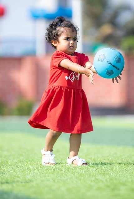 大马羽总的 大马羽总的