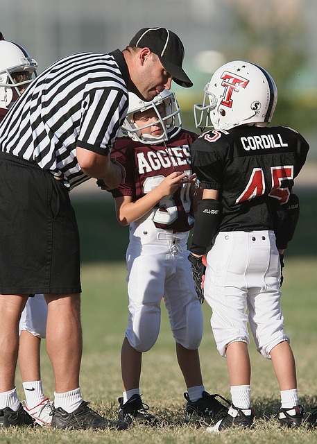 节和战术分 节和战术分